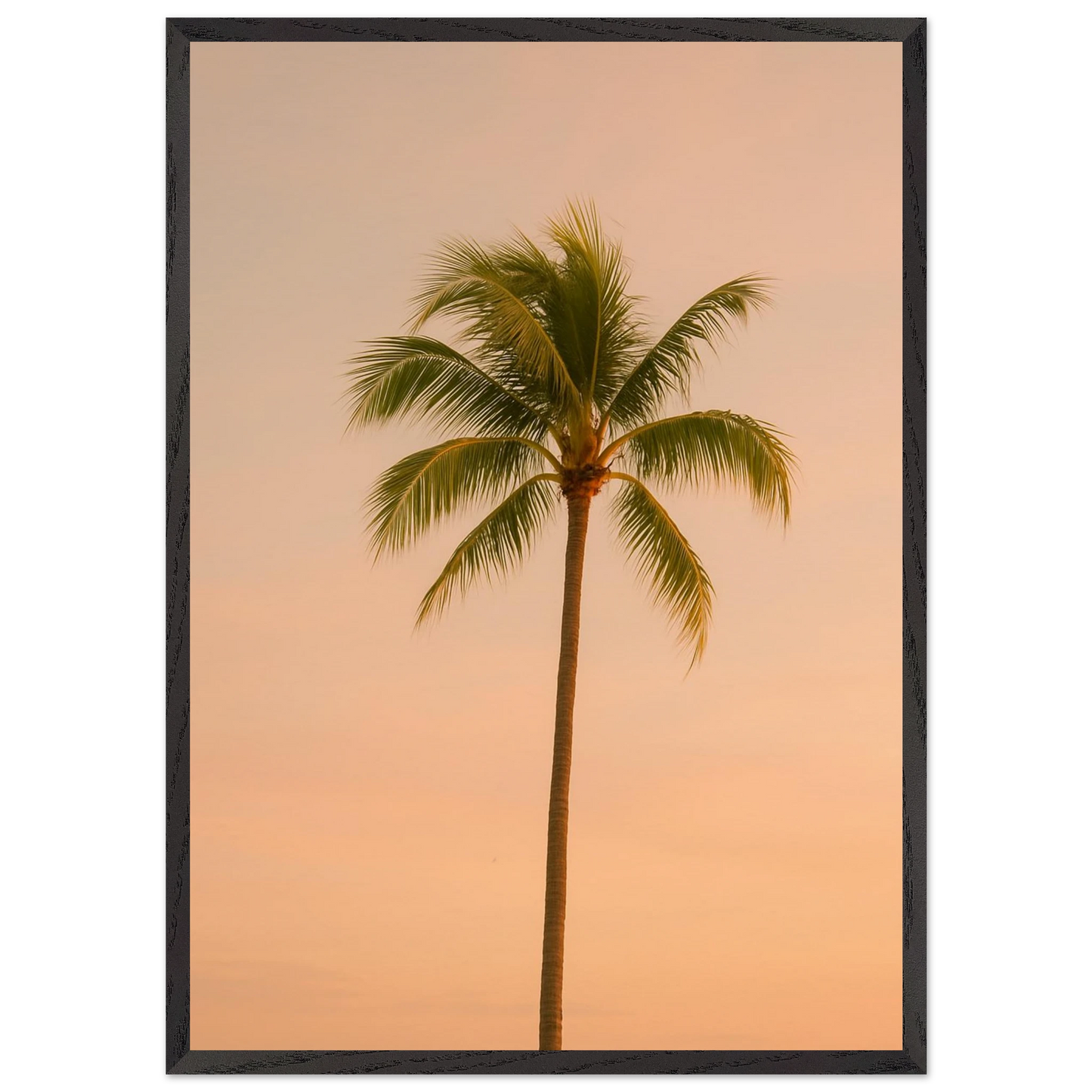 8f58b64e-0ad3-4fcc-8379-6760a9e7ef2b