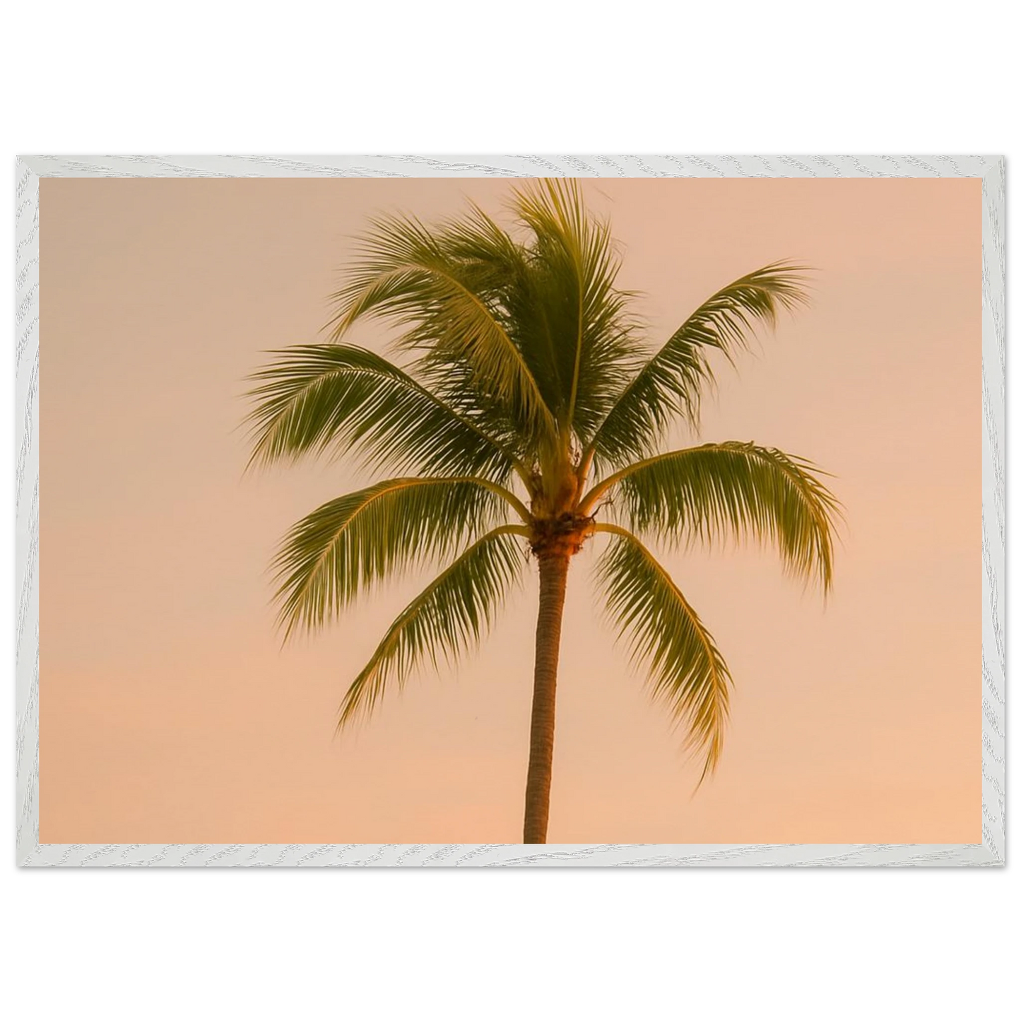 5fa11449-d342-4710-98b4-92d87df38288