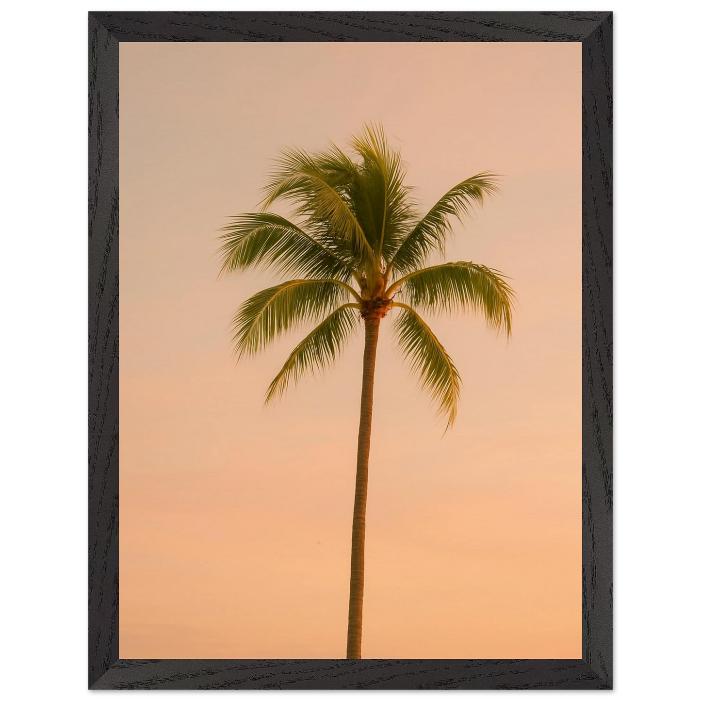 a963f66d-4fd7-4b45-87f2-ad7d2089deca