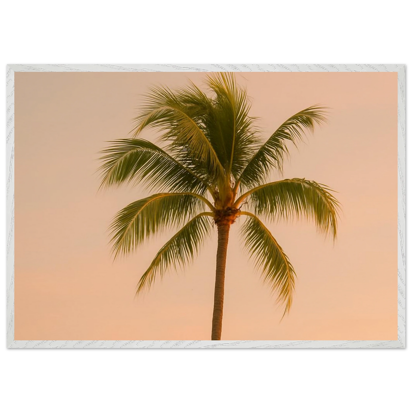 fd05e4e5-c09e-46f2-a25e-c891ca367295